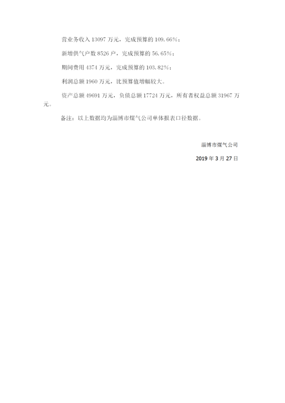 2019年财务预算信息_02.png